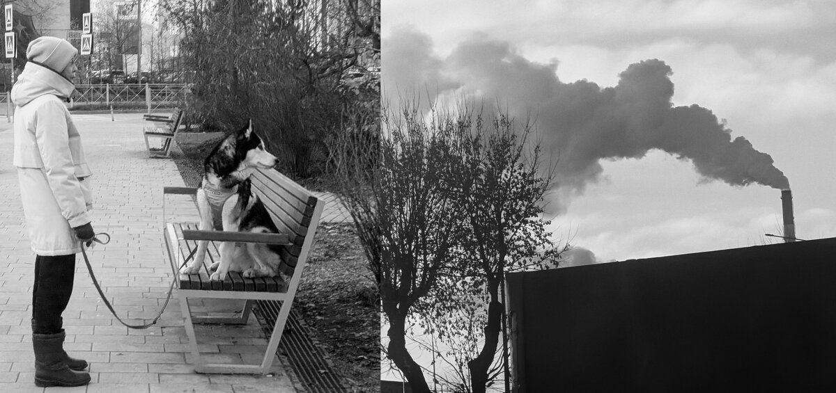 Взгляд в будущее - Сергей Матвеенко