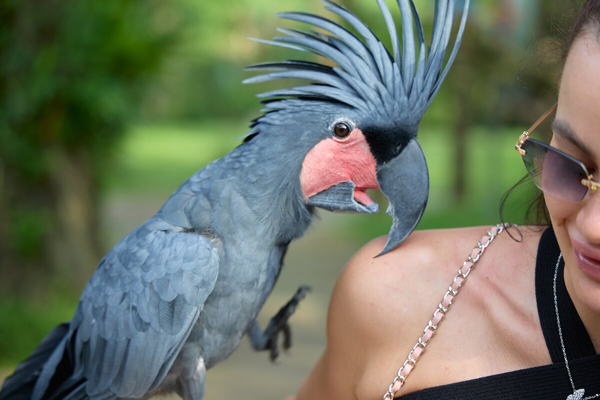 Поцелуемся?А? - Андрей Город