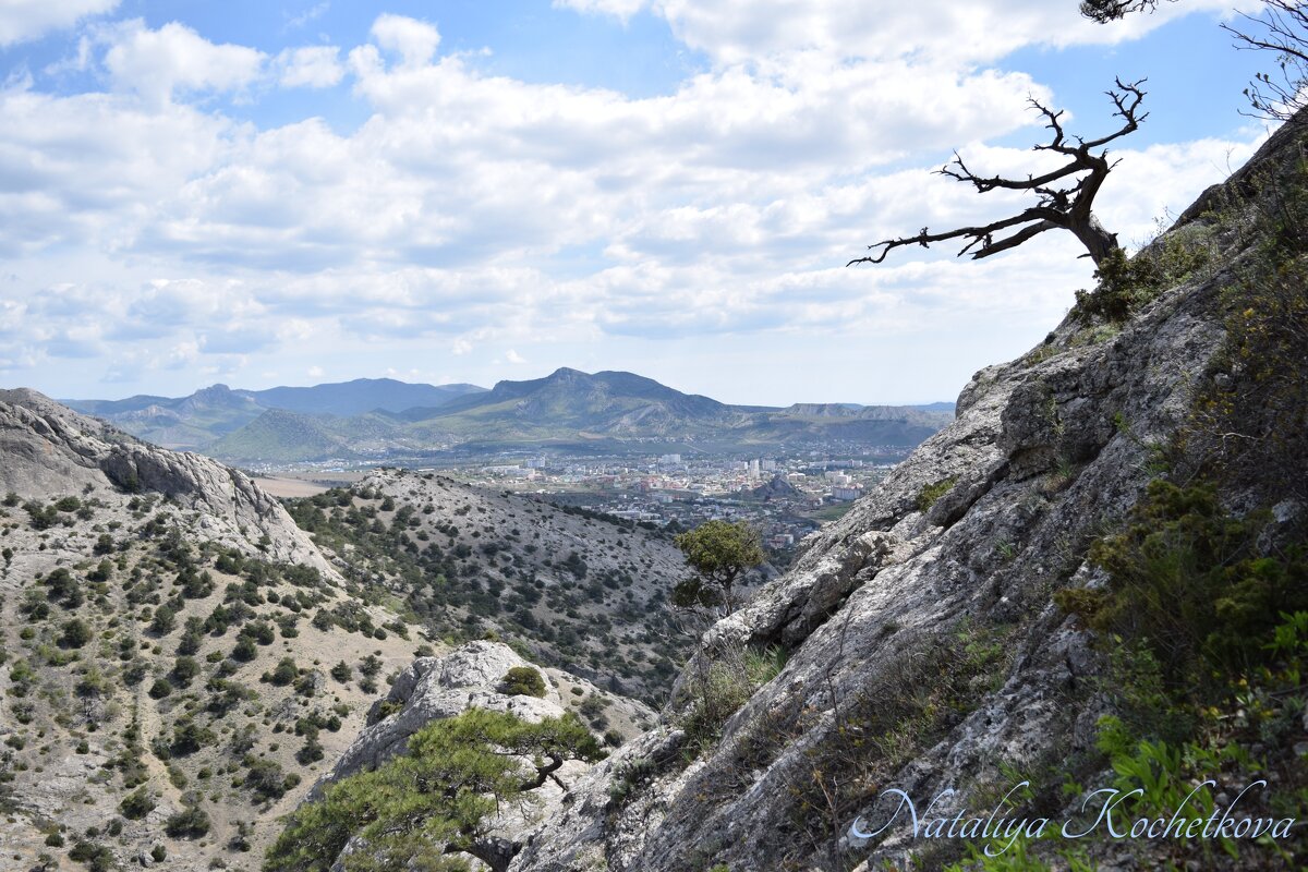 Природа Крыма - Amazing Cosmea Природа Крыма - Amazing Cosmea