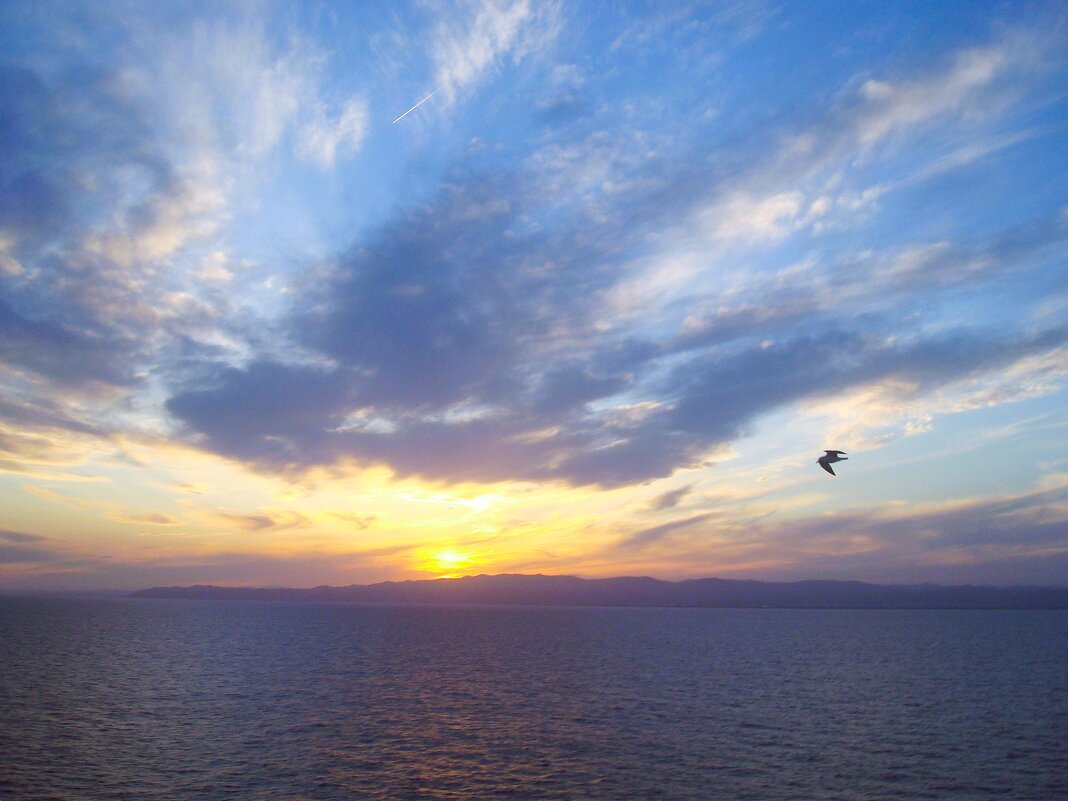 Из закатного - svk *