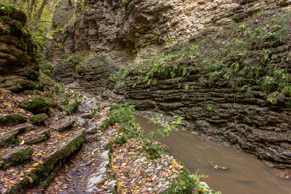 Адыгея.Осень.К водопадам. - ирина )))