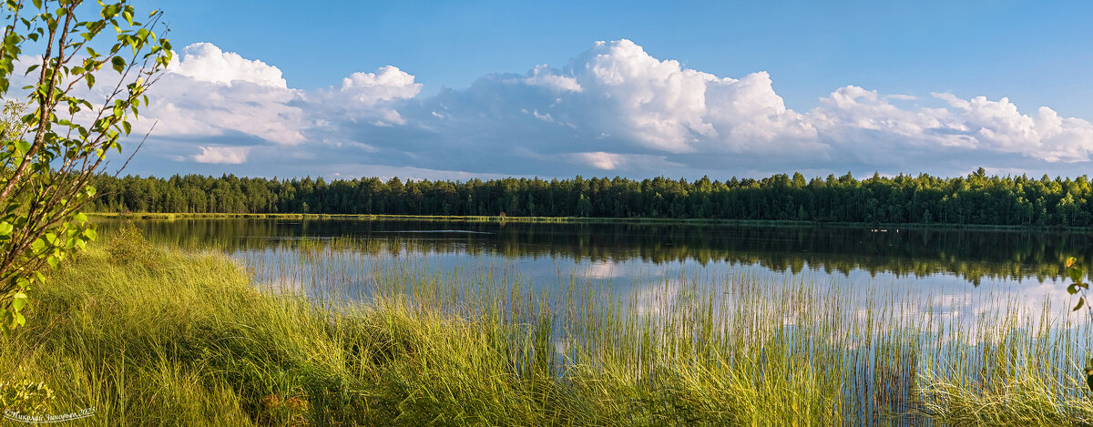 Таежное озеро Пионерское в черте Ухты - уникальный остаточный водоем с лечебным сапропелем - Николай Зиновьев Таежное озеро Пионерское в черте Ухты - уникальный остаточный водоем с лечебным сапропелем - Николай Зиновьев