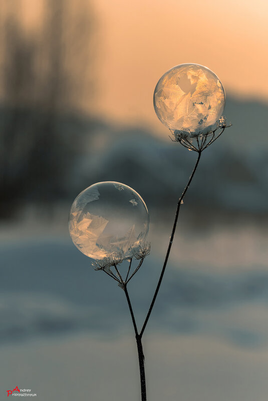 Двойняшки - Андрей Пристяжнюк Двойняшки - Андрей Пристяжнюк