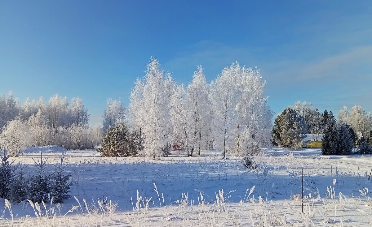 Красивый зимний день .. - Татьян@ Ивановна