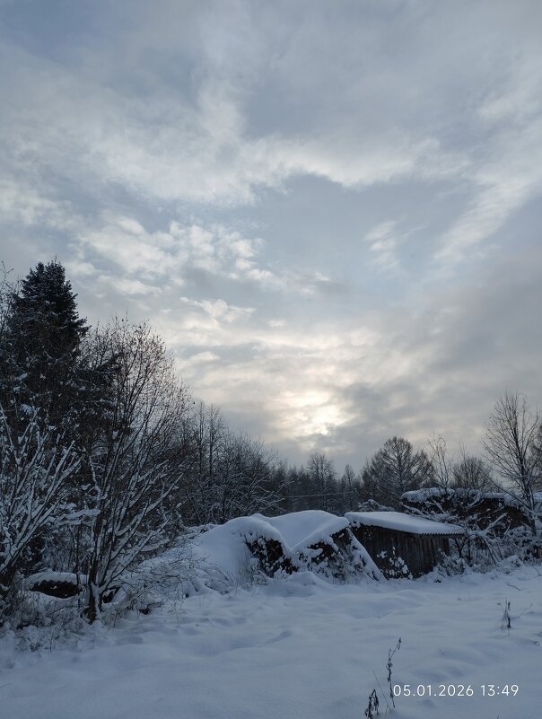 зимнее солнце - Лидия Меркулова
