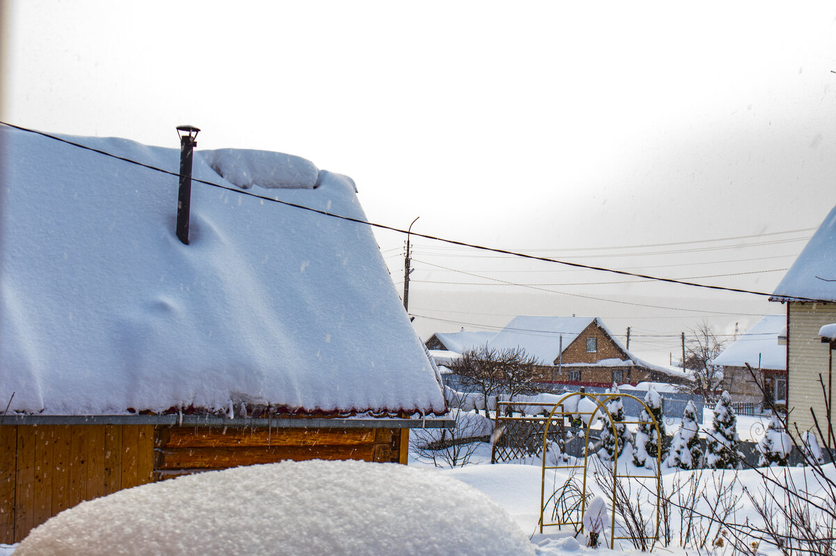 начинается снегопад - petyxov петухов