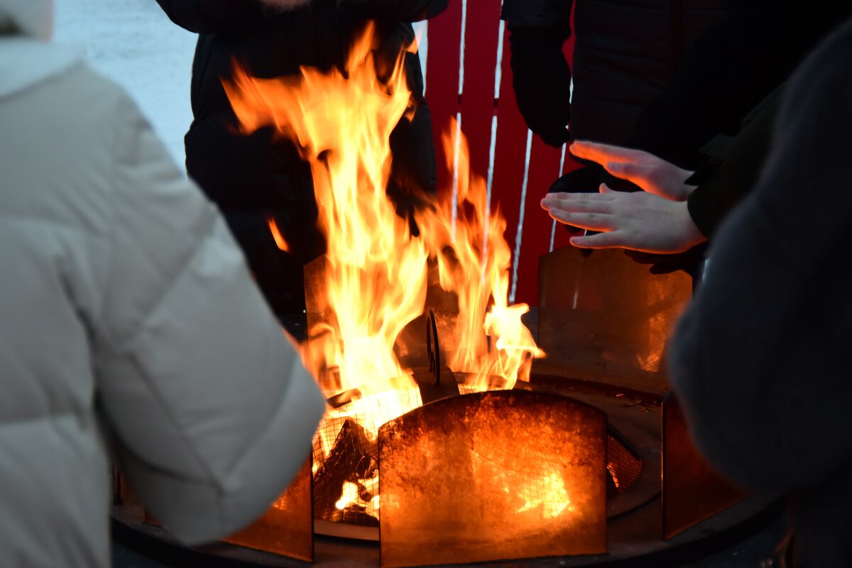 Властелин огня. - Наталья Вязигина