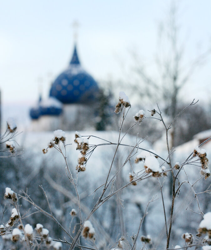 Суздаль. У храма - Вячеслав Владимирович