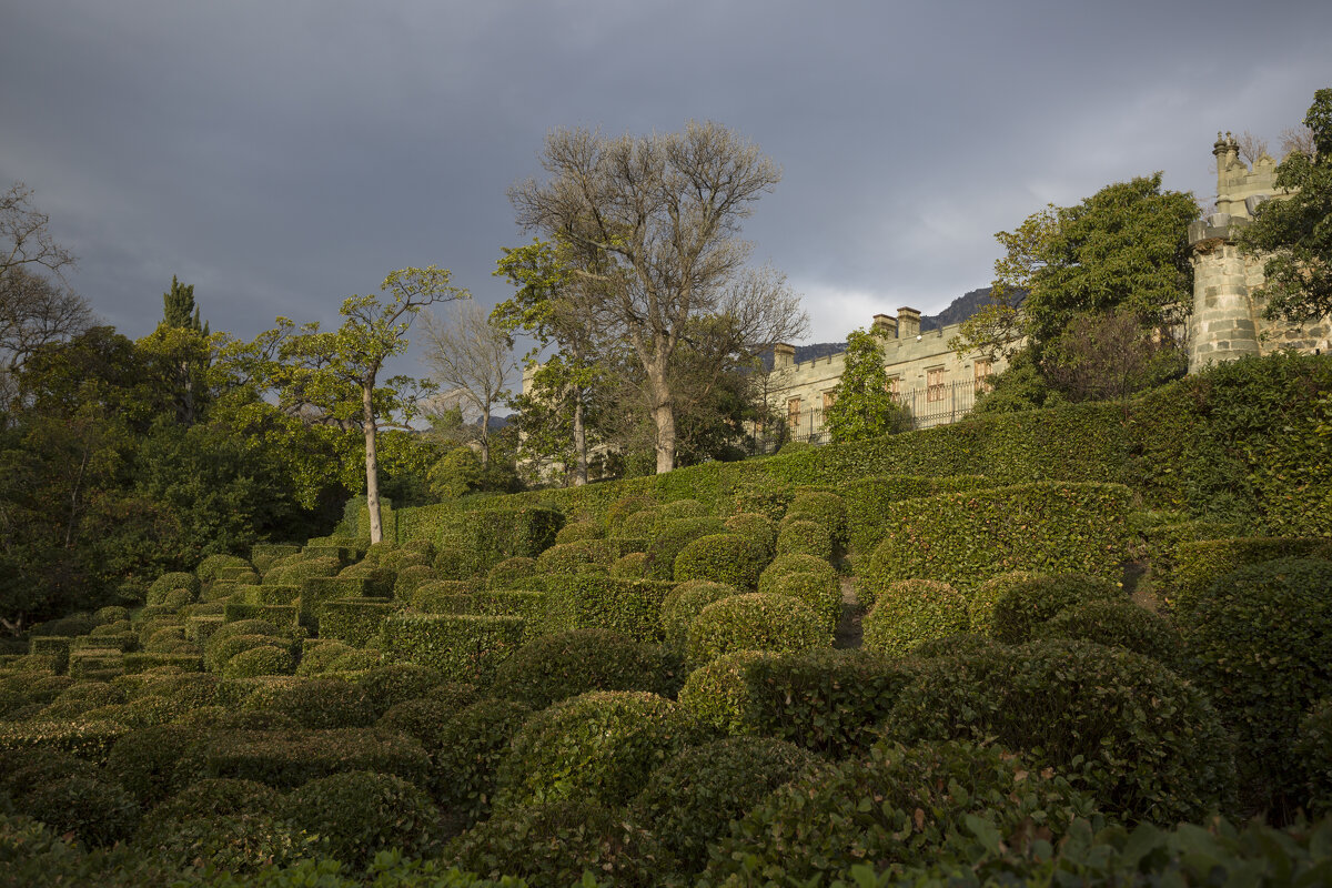парк - Елена Агеева