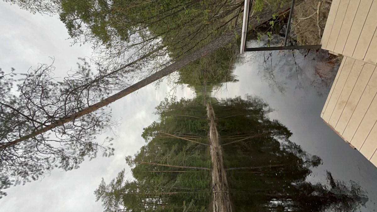 Пирс в Простоквашино - Эльвира Белянская Пирс в Простоквашино - Эльвира Белянская