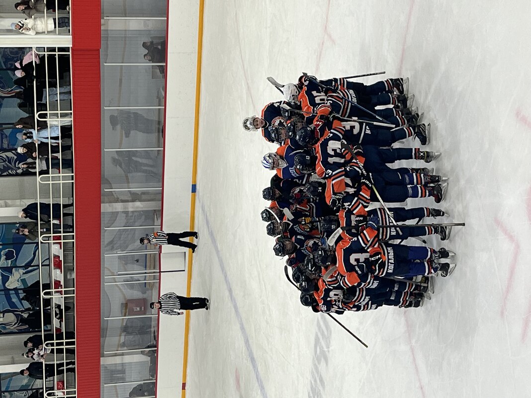 Хоккейная команда - Эльвира Белянская