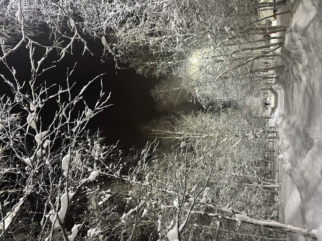 Зимний вечер - Эльвира Белянская Зимний вечер - Эльвира Белянская