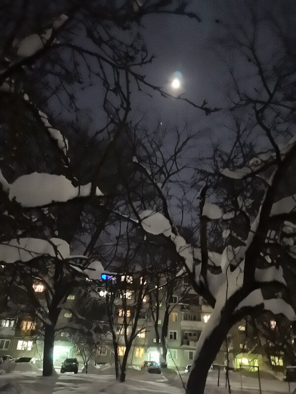 Снежный вечер... - Olga Oskolkova