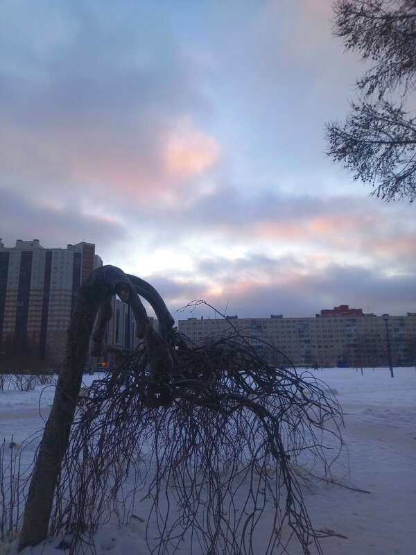 Закат - Сапсан 