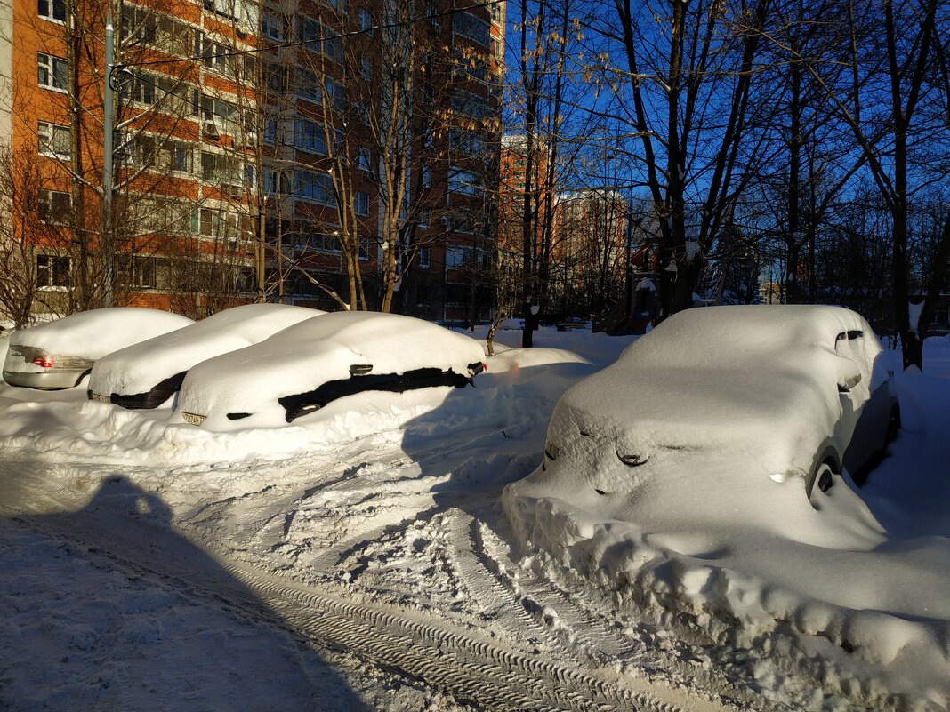 В Москве - снег. Зима как-никак :-) - Андрей Лукьянов В Москве - снег. Зима как-никак :-) - Андрей Лукьянов