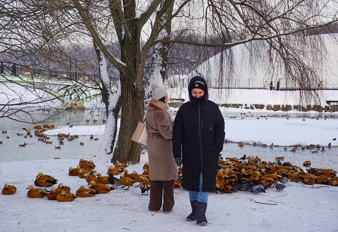 Зима в Цариыно - Ольга Зима в Цариыно - Ольга