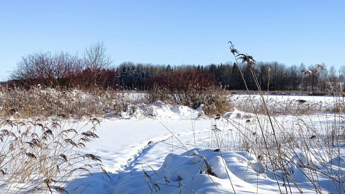 Чужие здесь не ходят! - Милешкин Владимир Алексеевич Чужие здесь не ходят! - Милешкин Владимир Алексеевич
