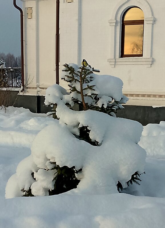 У храма. - Михаил Попов У храма. - Михаил Попов