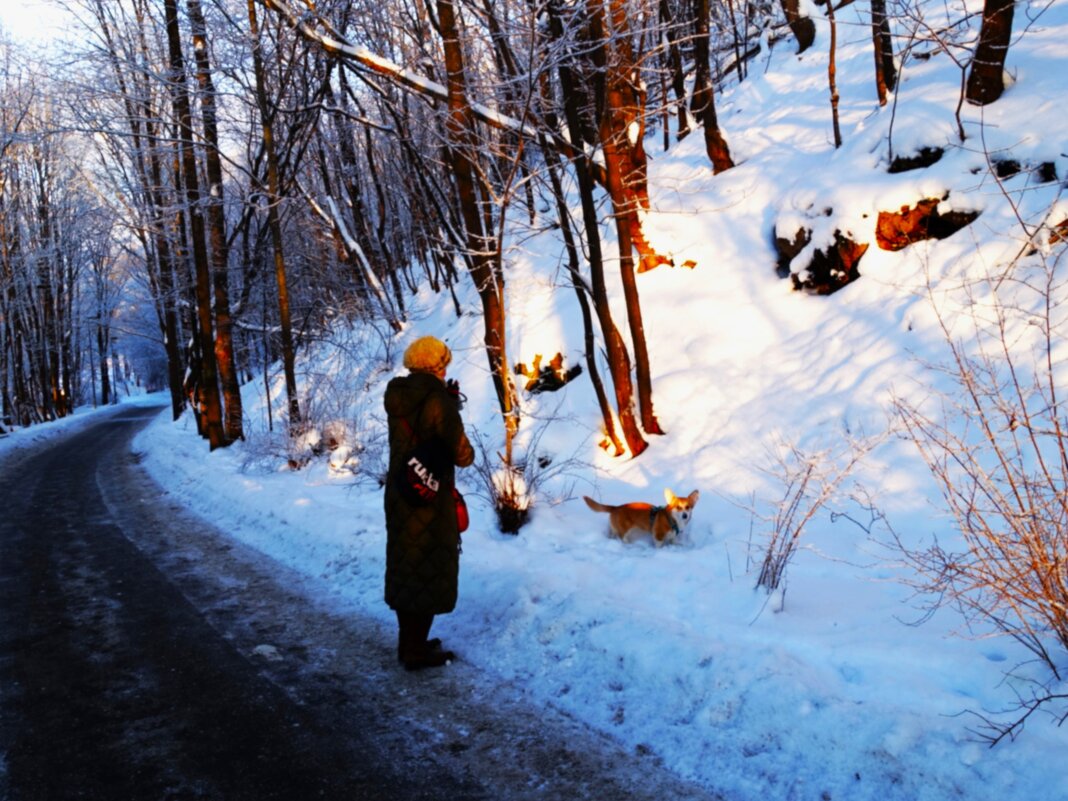 Дама с собачкой - Aida10 