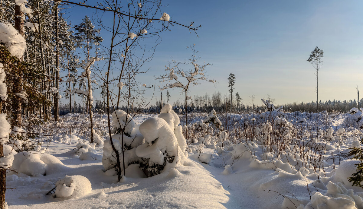 Зима - Григорий П Зима - Григорий П