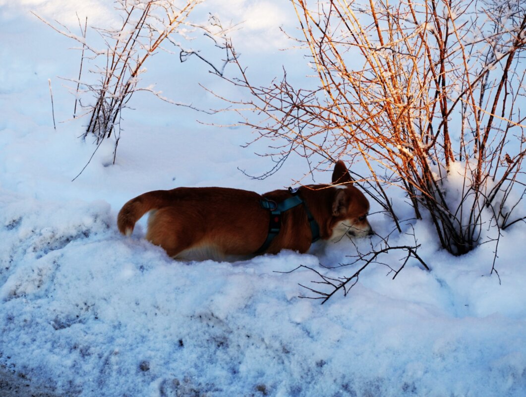 Заметил что-то интересное.. - Aida10 Заметил что-то интересное.. - Aida10