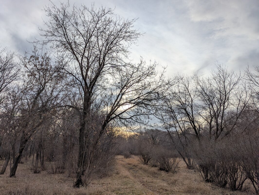 Осень. - Андрей Хлопонин