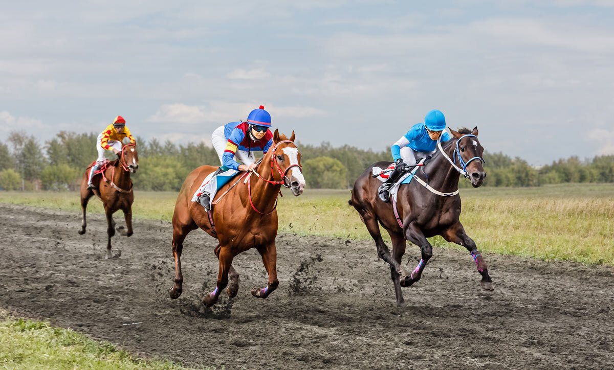 Скачки - SanSan 