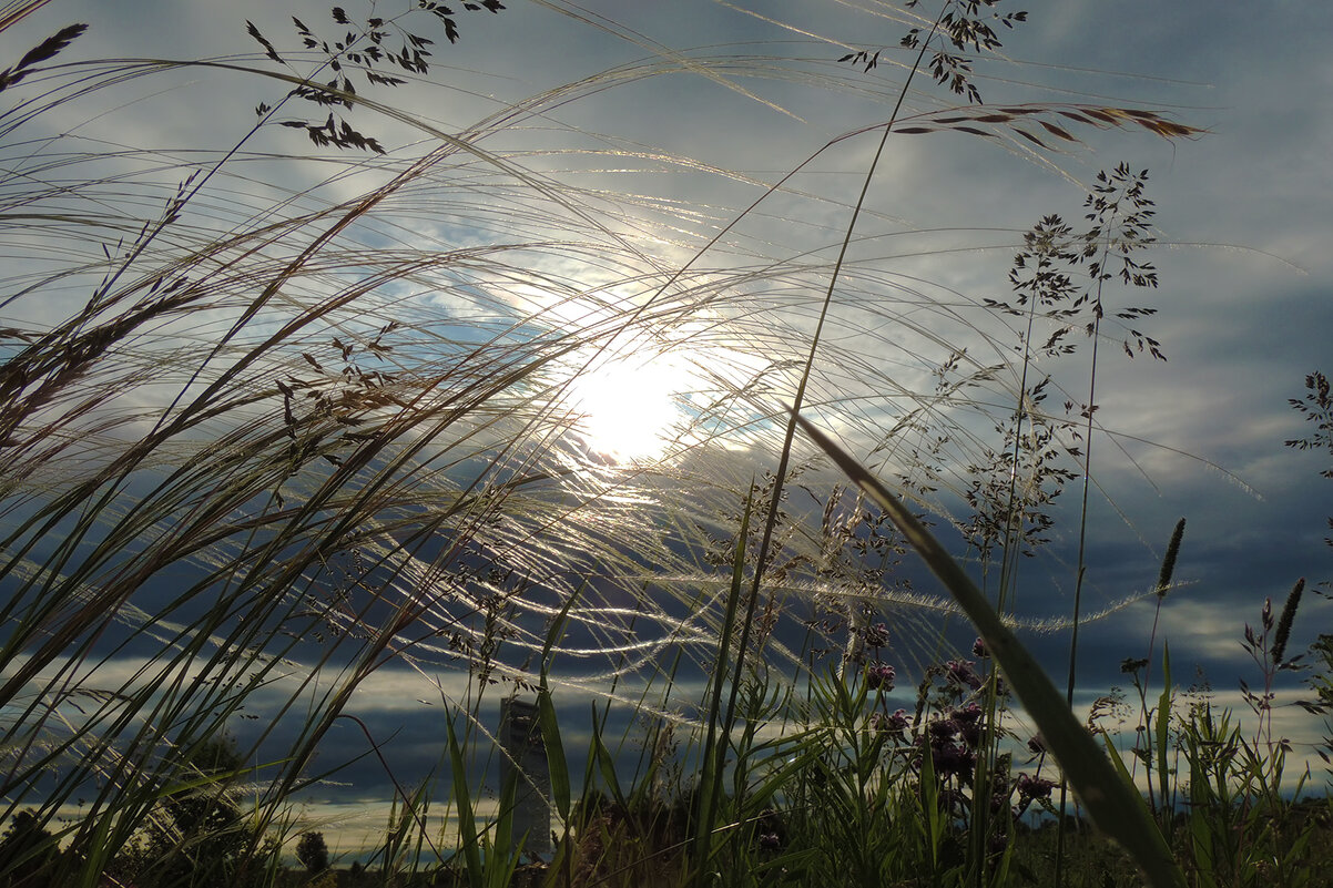 Солнышко играет в прятки - Владимир Кириченко