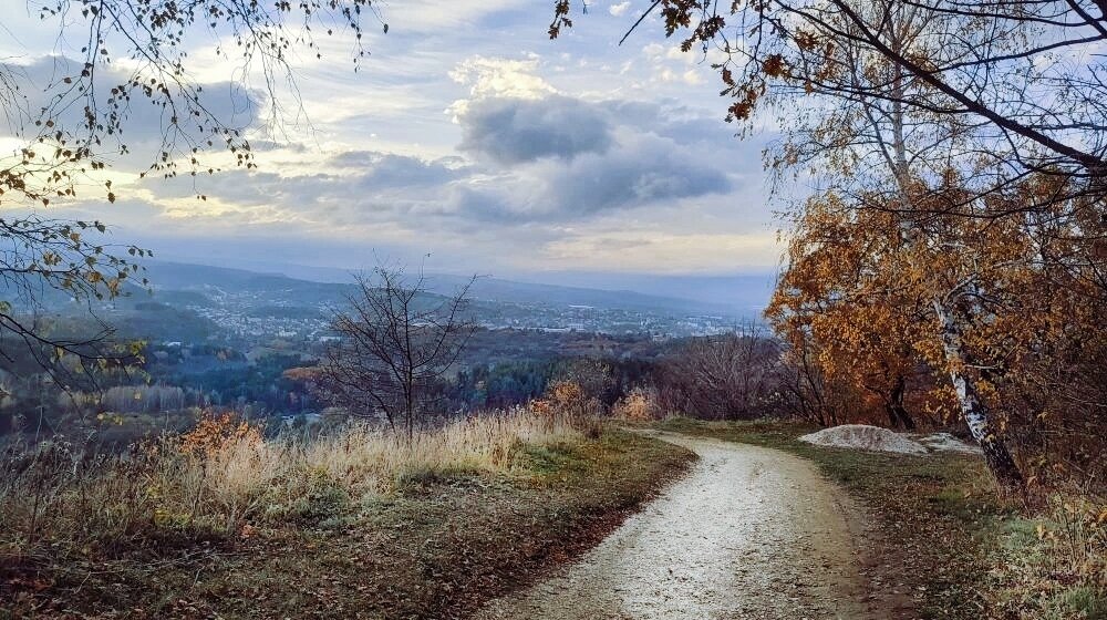 Дорога в осень - Мариша 