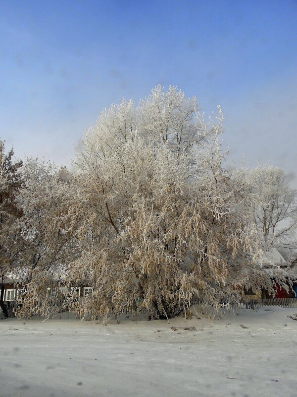 Волшебство зимы. - nadyasilyuk Вознюк