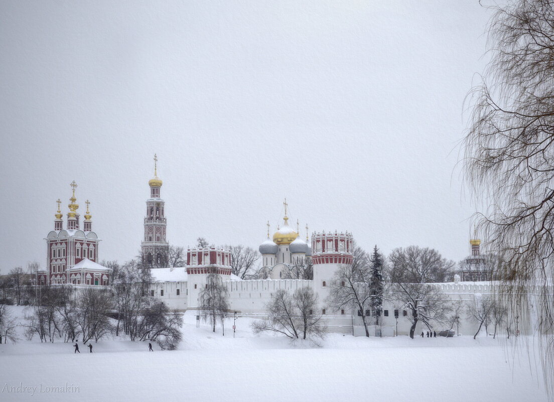 Новодевичий монастырь - Andrey Lomakin