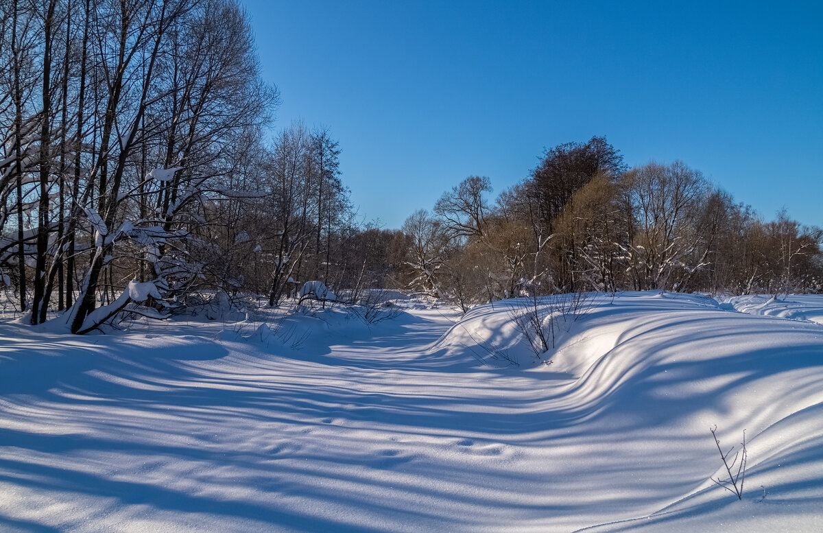 Январское утро - Андрей Дворников