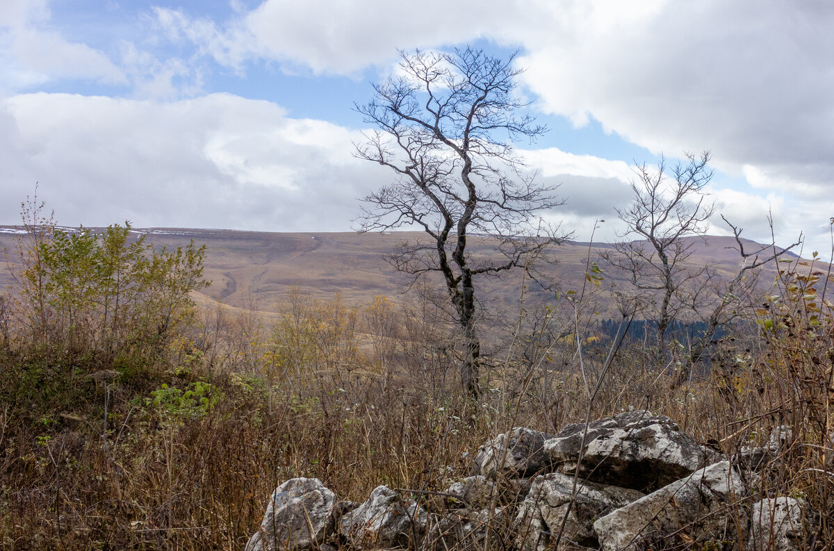 Адыгея.Вид на плато Лаго-Наки. - ирина )))