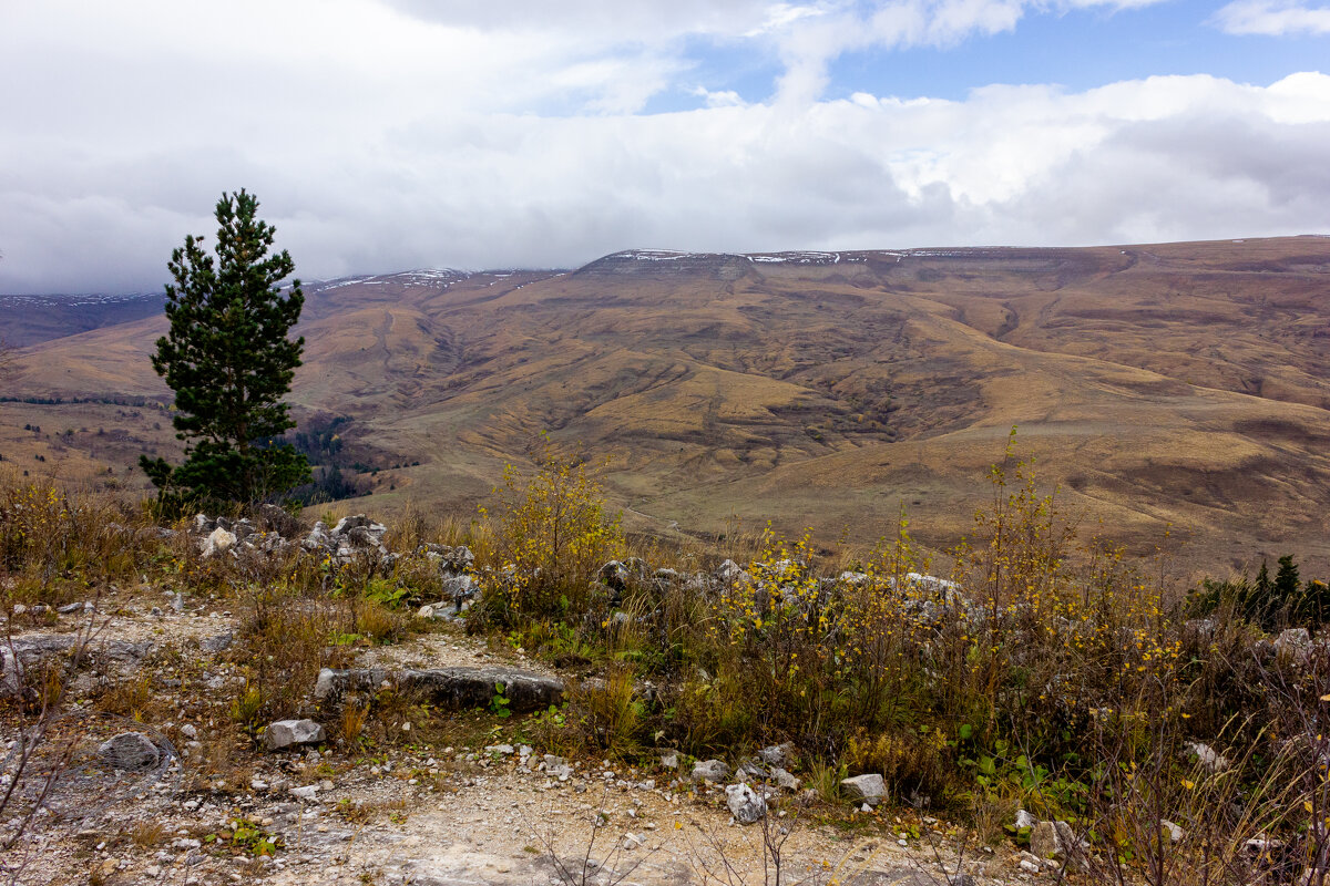 Адыгея.Вид на плато Лаго-Наки. - ирина )))