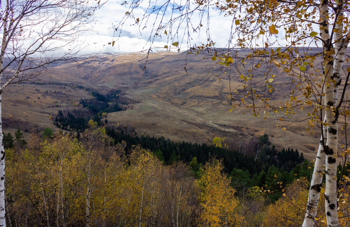 Адыгея.Лаго-Наки. - ирина )))