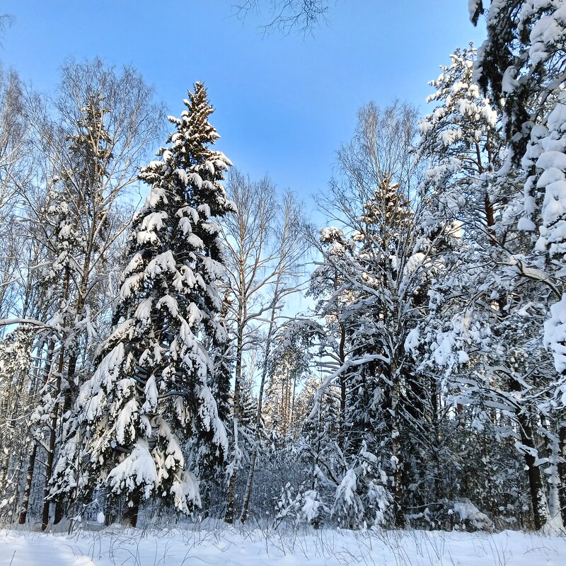 пейзаж - Владимир 