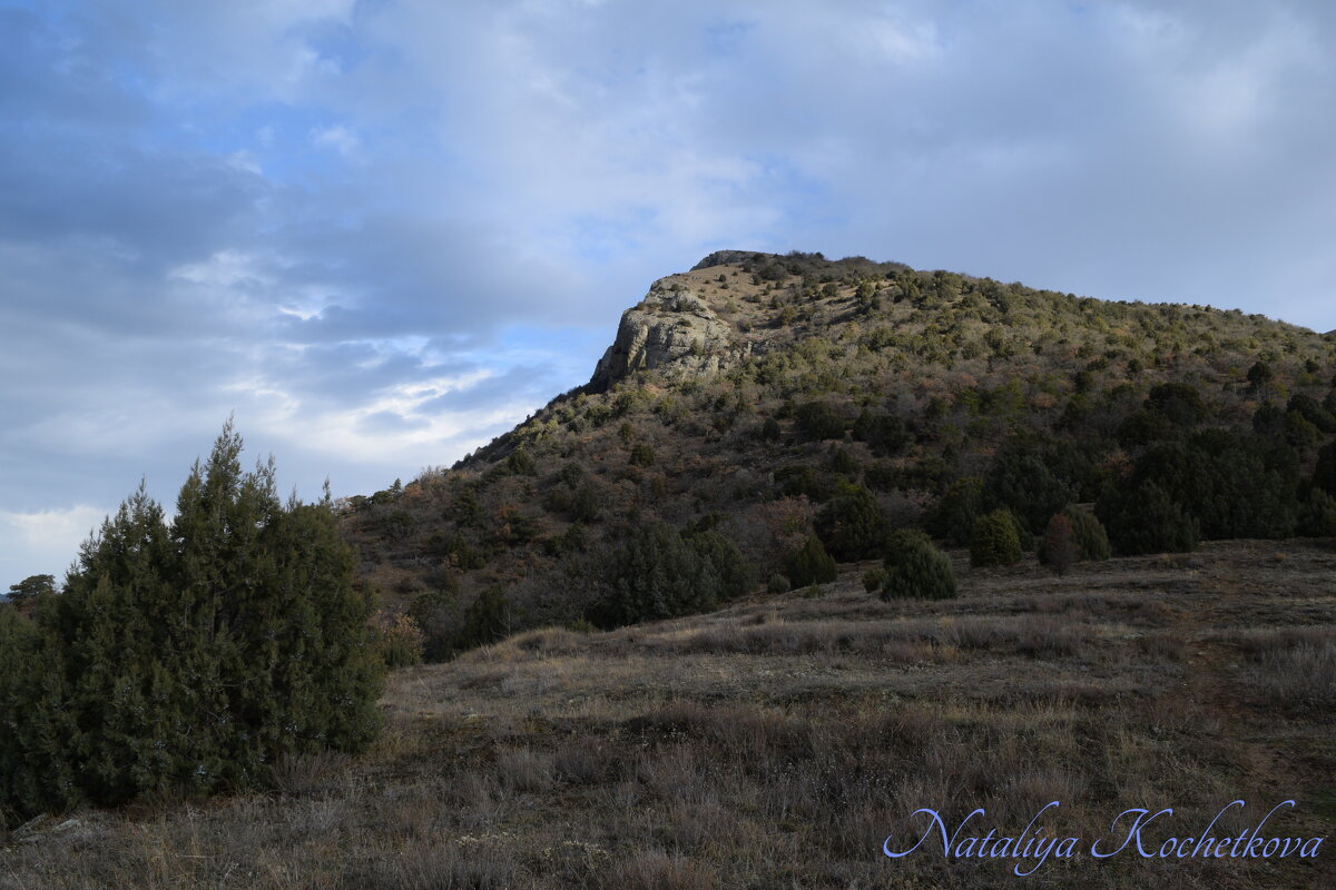 Природа Крыма - Amazing Cosmea Природа Крыма - Amazing Cosmea