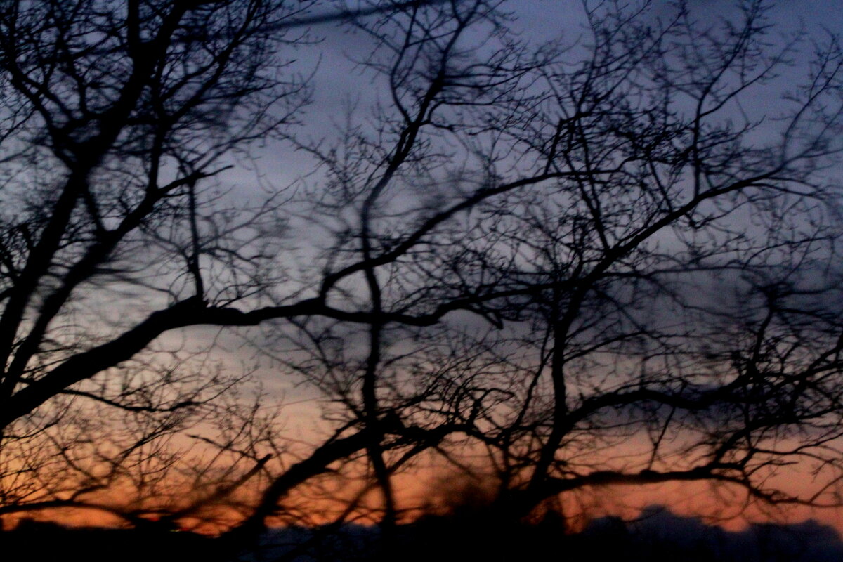 Вечерняя Соната - олег свирский 