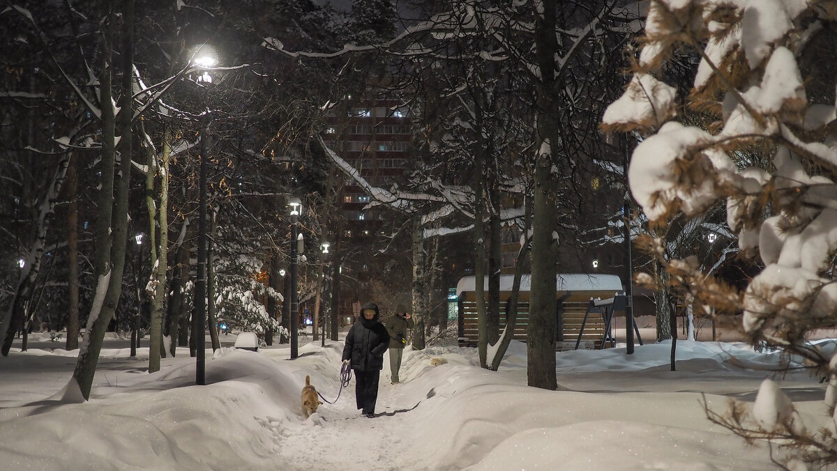 Зимний Вечер В Городе - юрий поляков