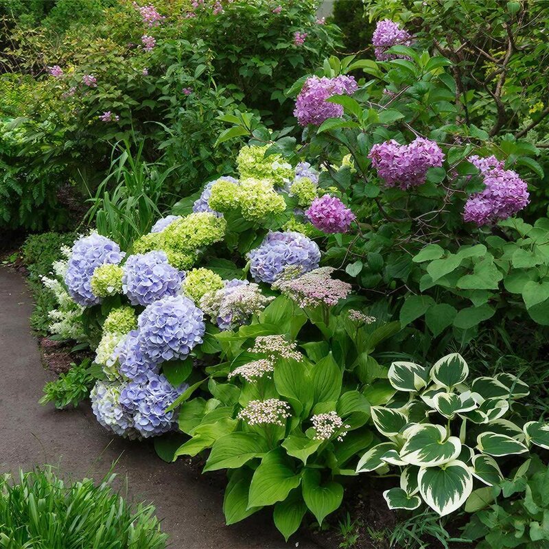 ландшафтный дизайн - МАРИЯ ПОПОВА