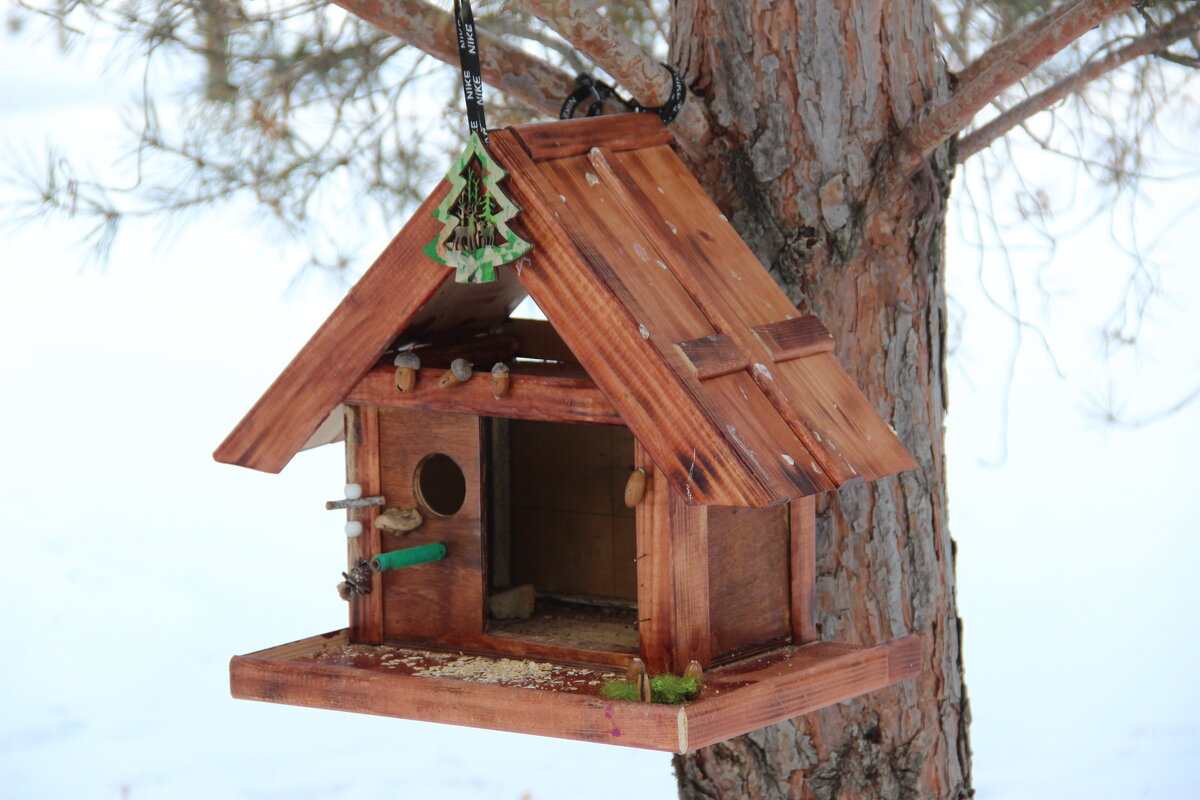 В парке - Венера Чуйкова В парке - Венера Чуйкова