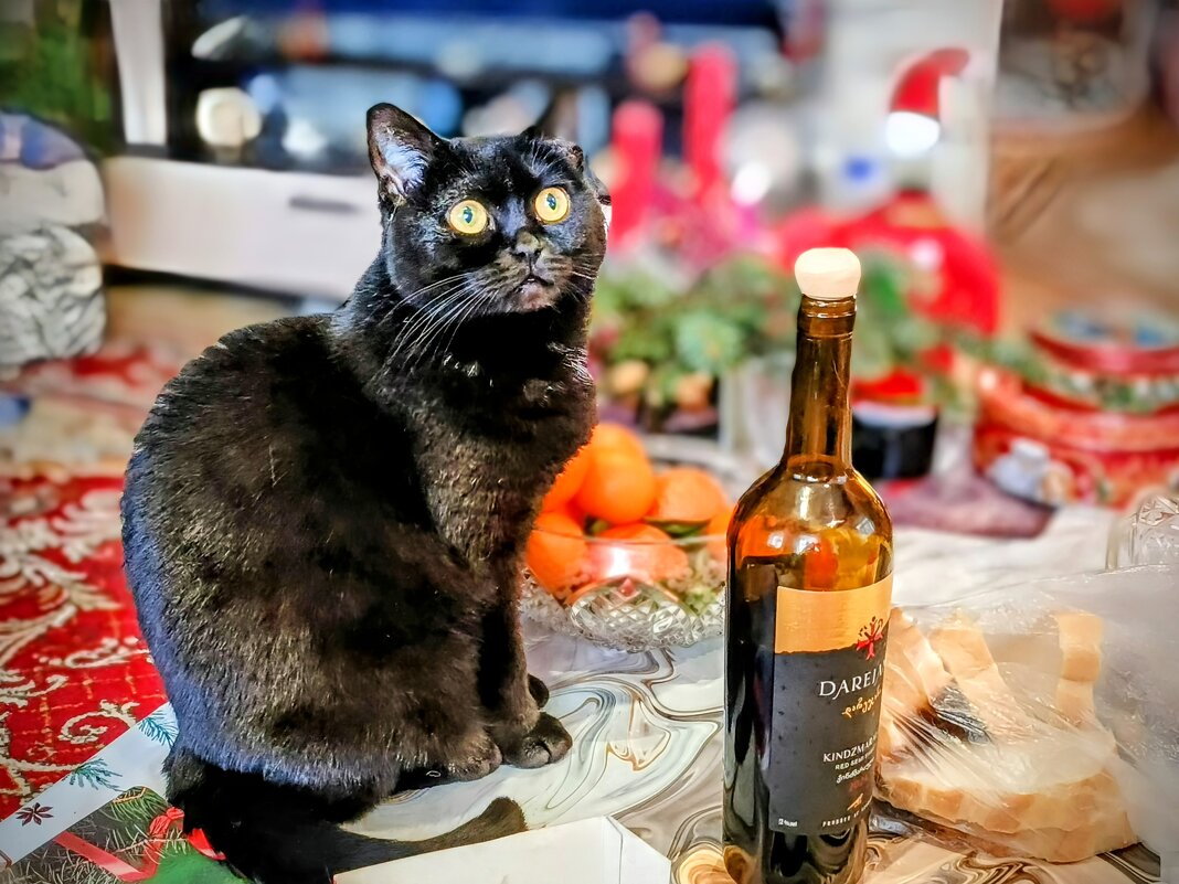 Провожая январь - Михаил Столяров Провожая январь - Михаил Столяров