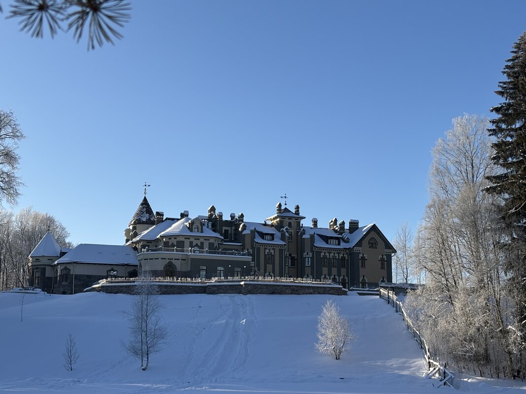 Замок - Ольга Савельева 