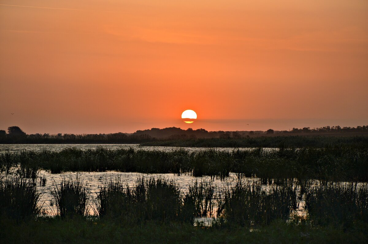 Рассвет на пруду - Надежда Куркина 
