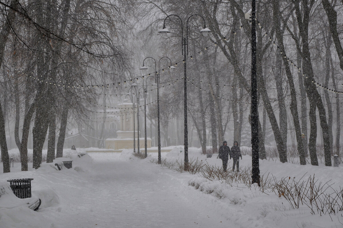 В старом парке снегопад - Татьяна Машошина