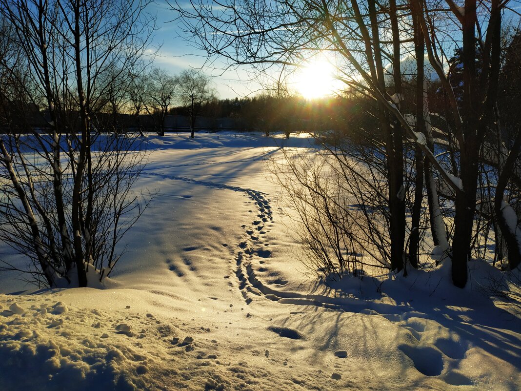 * * * - Андрей Лукьянов