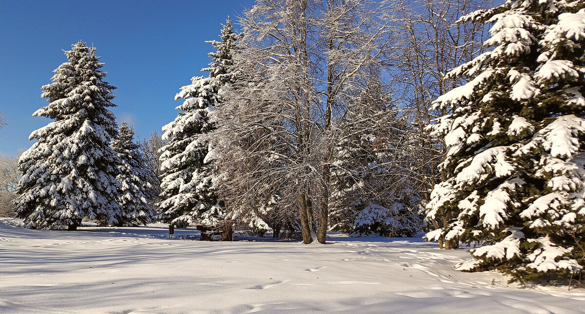 Февральский день - Игорь Сычёв