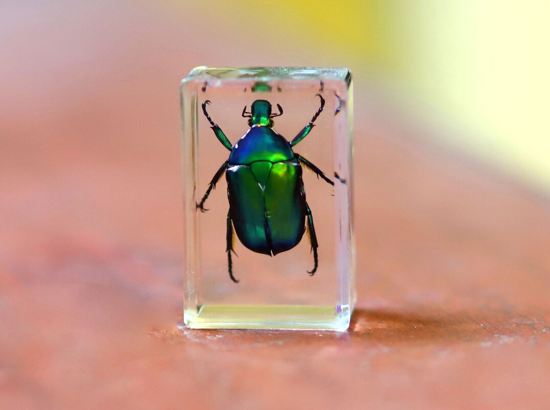 Zh - Андрей Л. В.