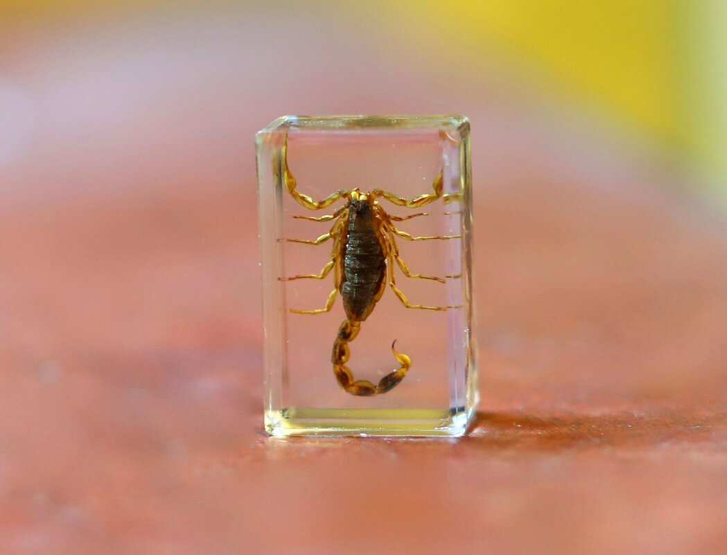 Sc - Андрей Л. В. Sc - Андрей Л. В.