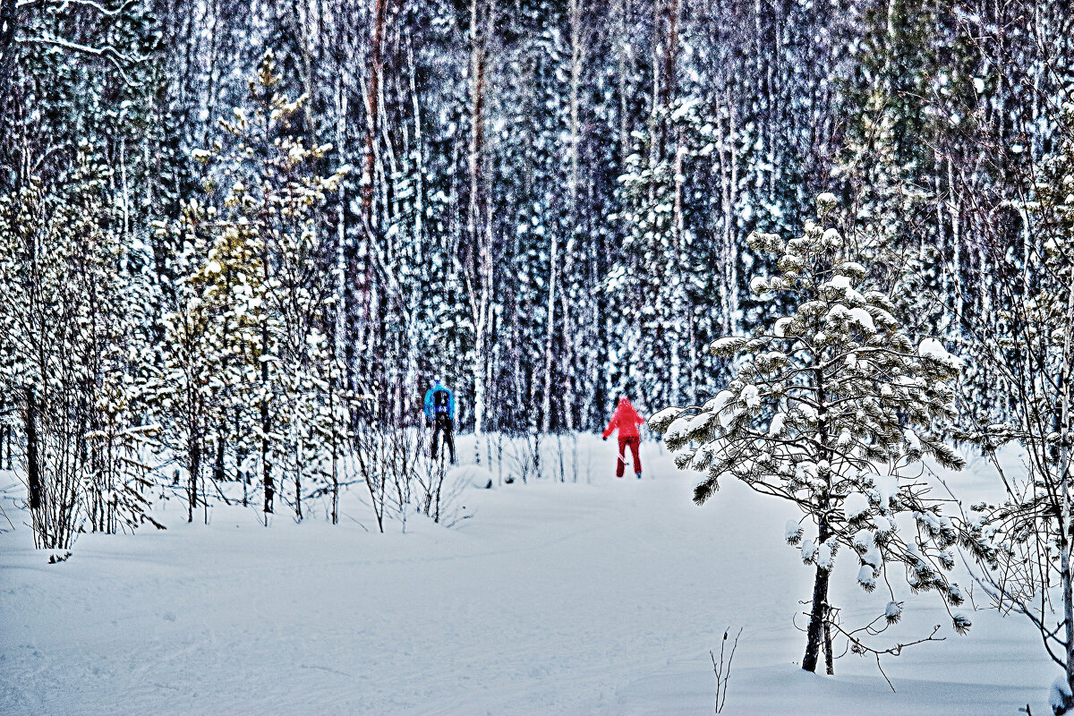 Из серии "Зимние сны"! - Владимир 